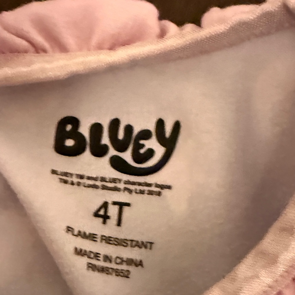 Bundle of Cozy Girls Nightgowns - Bluey and Frozen Anna and Elsa! Today only! - Picture 6 of 15